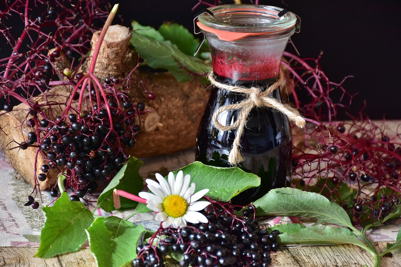 Growing Our Medicine | Learning How To Grow Elderberries At Hideaway Tiny Acres