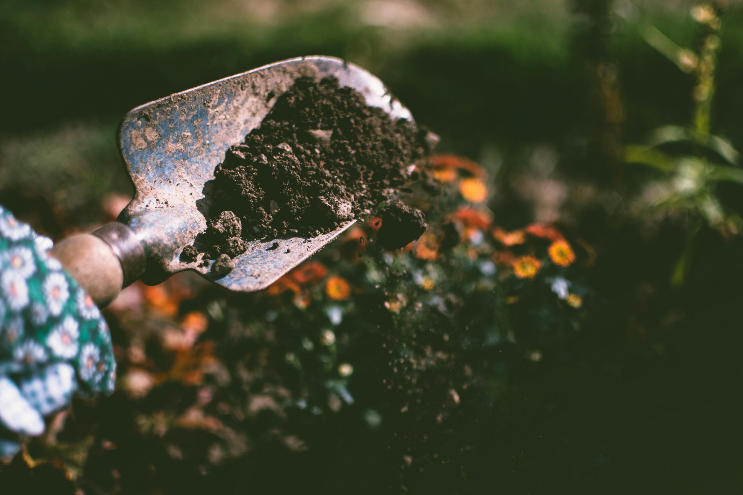 HOW WE’RE MAKING PROGRESS IN THE GARDEN