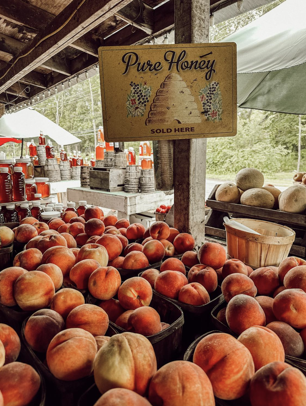 Discover the Best Farmers’ Markets In The Eastern Upper Peninsula of Michigan